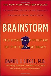 Book Cover: Brainstorm