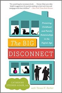 Book Cover: Big Disconnect